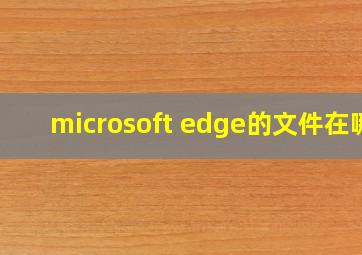 microsoft edge的文件在哪